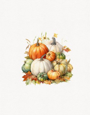 watercolor drawing of autumn vegetables pumpkin, thanksgiving day clipart