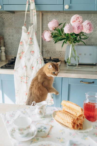 Masada Kırmızı Kedi Arka Planda Tatlı Olan Çay Partisi Porselen — Stok fotoğraf