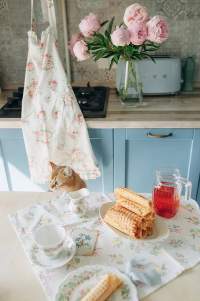 餐桌上有家养红猫 茶会上有甜点 背景浅 厨房明亮 — 图库照片