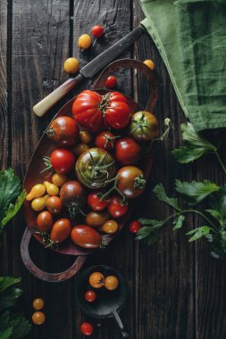 Durgun hayat, farklı domates çeşitleri ahşap bir masaya saçılmış, yumuşak sabah ışığı, üst görünüm