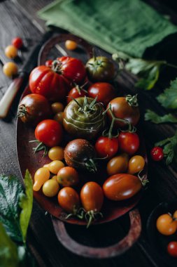 Durgun hayat, farklı domates çeşitleri ahşap bir masaya saçılmış, yumuşak sabah ışığı, üst görünüm