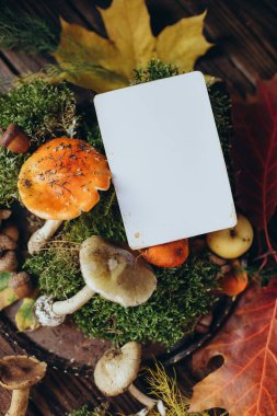 Ormanın arka planında kart modeli, mantarların arka planında kart modeli