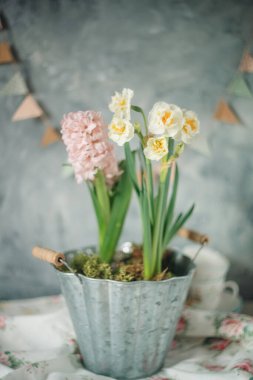 Pastel renkte Paskalya teması, Paskalya kartı, tatil arkaplanı