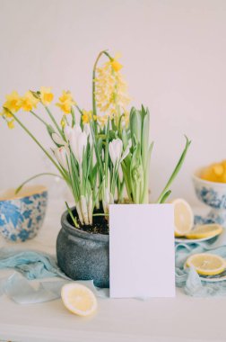 Limonlar ve Çiçeklerle Zarif Davetiye Model Akdeniz Masası