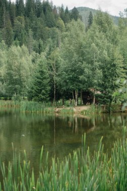 Berrak Yeşillik ve Orman Arkaplanlı Serene Lakeside Sahnesi