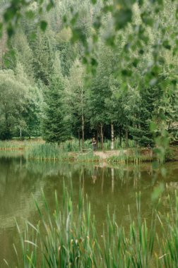 Berrak Yeşillik ve Orman Arkaplanlı Serene Lakeside Sahnesi