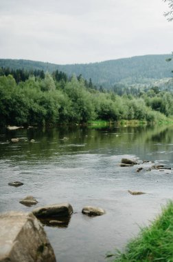 Berrak Yeşillik ve Orman Arkaplanlı Serene Lakeside Sahnesi