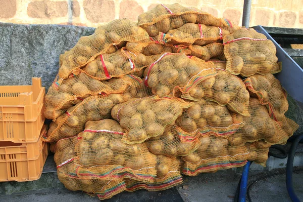 Σάκοι Πατάτες Στην Αγορά Ενός Αγρότη — Φωτογραφία Αρχείου