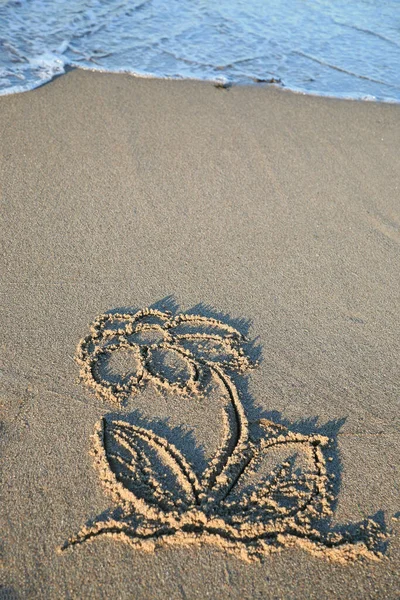 Живопись Цветка Символа Песке Пляжа — стоковое фото