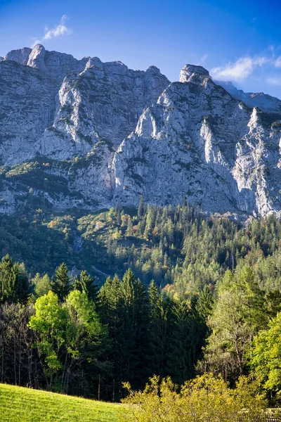 Piękny Krajobraz Górach Lasem — Zdjęcie stockowe