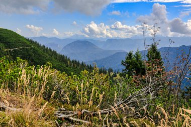 Arkasında dağlar olan Bavyera 'nın güzel manzarası