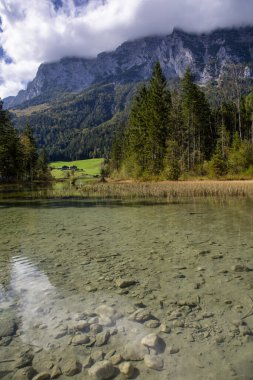 Göl manzarası, orman ve Bavyera Alpleri 'nin dağları.