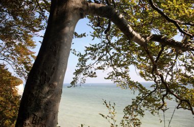 Uçurumlardan Baltık Denizi manzarası