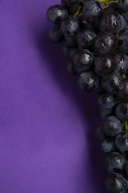 Çiğ organik, mor üzümlerin arkaplanını, şarap üzümlerinin dokusunu, sağlıklı, mor şarap üzümlerinin arka planını, üst manzarasını kapatın. 