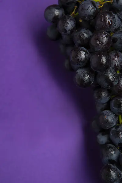 Çiğ organik, mor üzümlerin arkaplanını, şarap üzümlerinin dokusunu, sağlıklı, mor şarap üzümlerinin arka planını, üst manzarasını kapatın. 