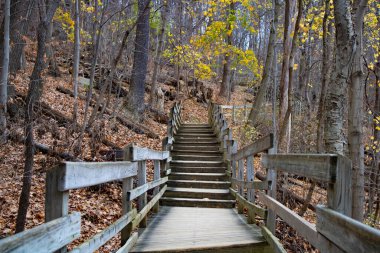 Tahta döşeme. Ohio, Cuyahoga Şelalesi 'ndeki Gorge Metro Parkı' nda çalışıyor..