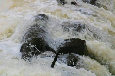 Şiddetli yağmurdan sonra beton bariyerlere çarpan ve sıkışan bir kütüğün üzerinden çağlayan suyun yakın çekimi. Kasımda bulutlu bir günde çekilen.