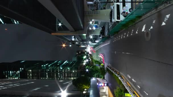 Sebuah Malam Tilapse Kemacetan Lalu Lintas Jalan Perkotaan Tokyo Vertikal — Stok Video