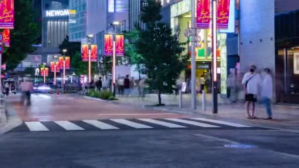 Een Avond Timeapse Van Menigte Neon Stad Shinjuku Tokio Shinjuku — Stockvideo