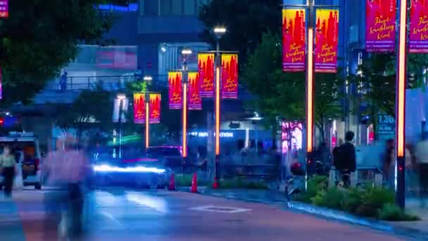 Timelapse Notturno Della Folla Nella Città Neon Shinjuku Tokyo Distretto — Video Stock