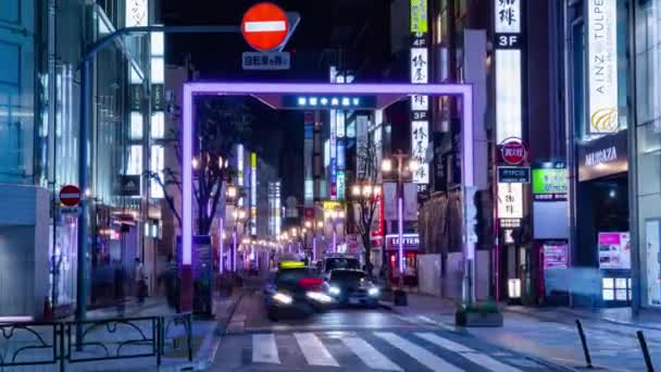 Night Timelapse Crowd Neon Town Shinjuku Tokyo Shinjuku District Tokyo — Stock Video