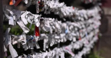 Tokyo 'daki Tomioka Tapınağı' nda geleneksel bir manzara. Koto bölgesi Tomioka Tokyo Japonya 10.05.2022 Tomioka Tapınağı Tokyo 'da bilinen bir tapınaktır..