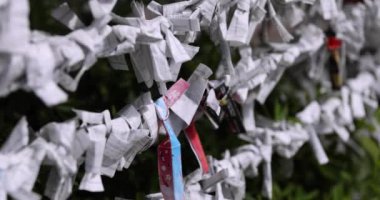 Tokyo 'daki Tomioka Tapınağı' nda geleneksel bir manzara. Koto bölgesi Tomioka Tokyo Japonya 10.05.2022 Tomioka Tapınağı Tokyo 'da bilinen bir tapınaktır..