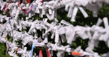 Tokyo 'daki Tomioka Tapınağı' nda geleneksel bir manzara. Koto bölgesi Tomioka Tokyo Japonya 10.05.2022 Tomioka Tapınağı Tokyo 'da bilinen bir tapınaktır..