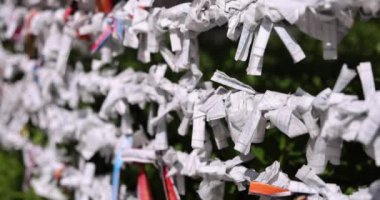 Tokyo 'daki Tomioka Tapınağı' nda geleneksel bir manzara. Koto bölgesi Tomioka Tokyo Japonya 10.05.2022 Tomioka Tapınağı Tokyo 'da bilinen bir tapınaktır..