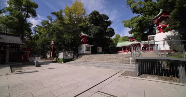 东京富冈神龛的传统风景 日本东京友冈县友冈神龛是东京的一座传统而著名的神龛 — 图库视频影像
