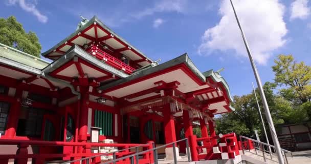 东京富冈神龛的传统风景 日本东京友冈县友冈神龛是东京的一座传统而著名的神龛 — 图库视频影像