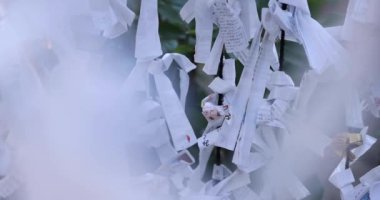 Tokyo 'daki Tanashi Tapınağı' nda geleneksel bir manzara. Nishitokyo bölgesi Tanashi Tokyo Japonya 10.20.2022 Bir tür falcılık. Bir tapınağı ziyaret ettiğimizde Tanrı 'dan mesaj alabiliriz. Yüksek