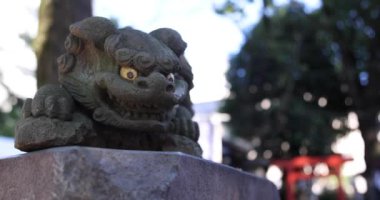 A traditional landscape at Tanashi Shrine in Tokyo. Nishitokyo district Tanashi Tokyo Japan 10.20.2022 This statue is called Komainu. High quality 4k footage