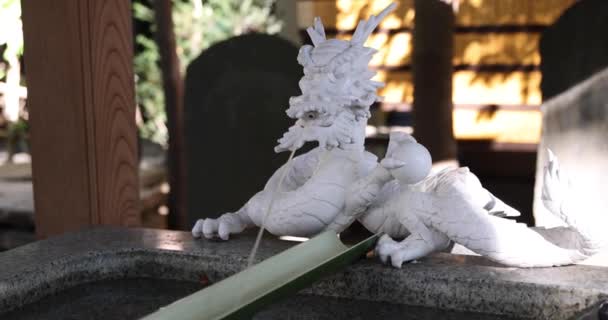 Традиционный Пейзаж Храме Танаси Токио Nishitokyo Район Танаси Токио Япония — стоковое видео