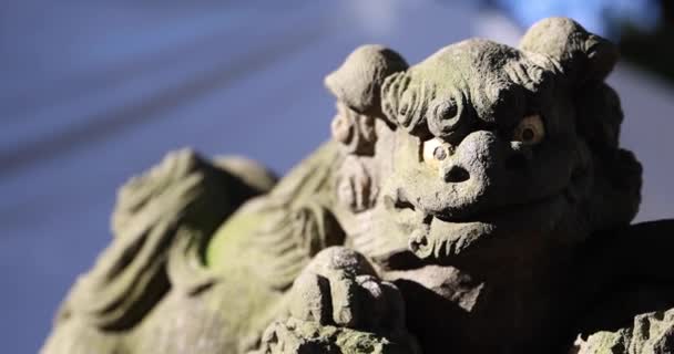 Традиційний Пейзаж Храму Танасі Токіо Район Нішітокьо Танасі Токіо Японія — стокове відео