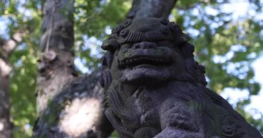 A traditional landscape at Tanashi Shrine in Tokyo. Nishitokyo district Tanashi Tokyo Japan 10.20.2022 This statue is called Komainu. High quality 4k footage