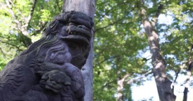 A traditional landscape at Tanashi Shrine in Tokyo. Nishitokyo district Tanashi Tokyo Japan 10.20.2022 This statue is called Komainu. High quality 4k footage