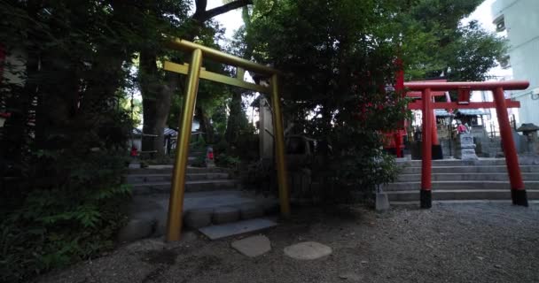 Paysage Traditionnel Sanctuaire Tanashi Tokyo Nishitokyo District Tanashi Tokyo Japon — Video