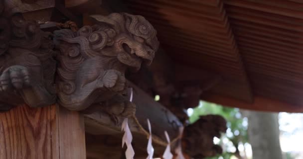Paisaje Tradicional Santuario Tanashi Tokio Nishitokyo Distrito Tanashi Tokio Japón — Vídeos de Stock