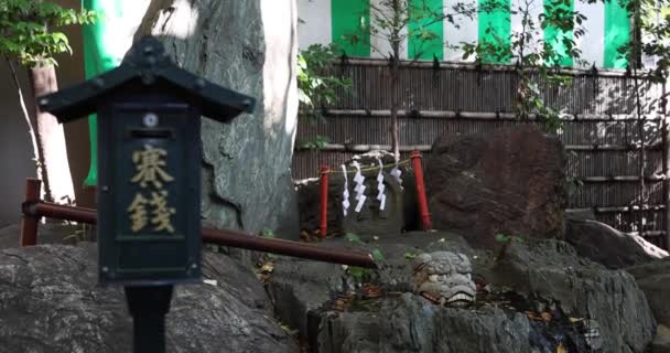 Eine Traditionelle Landschaft Tanashi Schrein Tokio Nishitokyo Bezirk Tanashi Tokio — Stockvideo