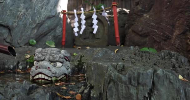 Een Traditioneel Landschap Bij Tanashi Shrine Tokio Nishitokyo District Tanashi — Stockvideo