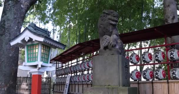 Traditional Landscape Tanashi Shrine Tokyo Nishitokyo District Tanashi Tokyo Japan — Stok video