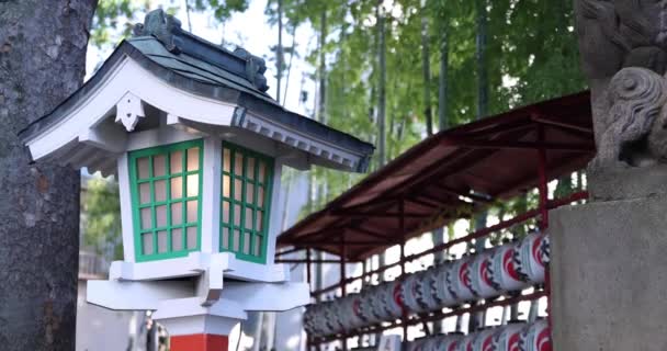 Ett Traditionellt Landskap Vid Tanashi Helgedom Tokyo Nishitokyo Distrikt Tanashi — Stockvideo