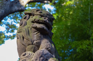 A statue of guardian dog at Japanese Shrine. High quality photo. Nishitokyo district Tanashi Tokyo Japan 10.20.2022 This statue is called Komainu.