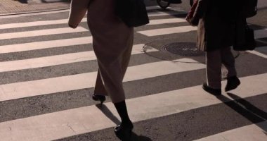 Şehirdeki sokakta yürüyen insanların yavaş çekimleri. Yüksek kalite 4K görüntü. Chuo bölgesi Tokyo 01.18.2023 Tokyo 'da bir elektrik çeyreği. Tokyo 'nun merkezindedir.. 