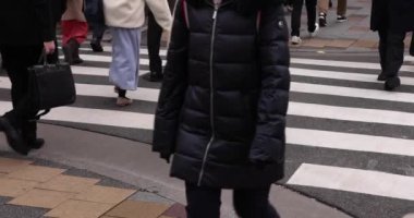 A slow motion of walking people on the street in the city. High quality 4k footage. Chuo district Tokyo Japan 01.18.2023 Here is an electric quarter in Tokyo. It is center of the city in Tokyo. 