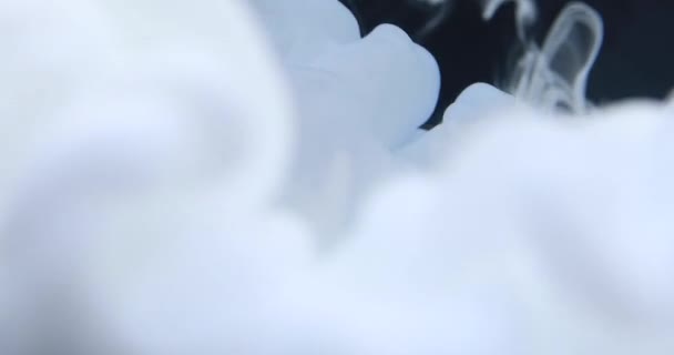 Fehér Festék Csepp Vízben Fekete Háttér Elvont Gyönyörű Hullám Tinta — Stock videók