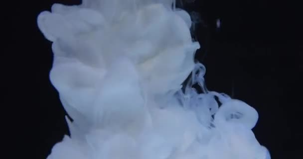Pintura Branca Cai Água Fundo Preto Onda Abstrata Bela Tinta — Vídeo de Stock