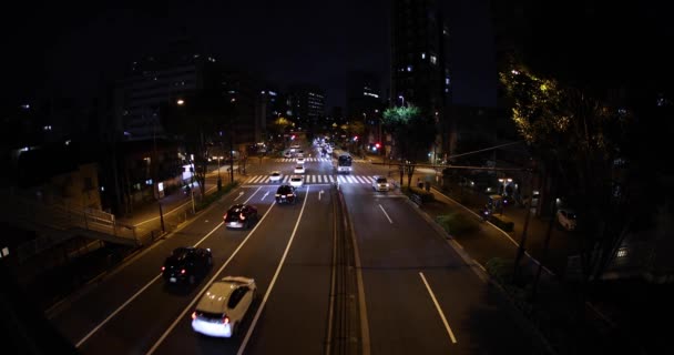 Night Traffic Jam City Crossing Tokyo High Quality Footage Nakano — Stock video