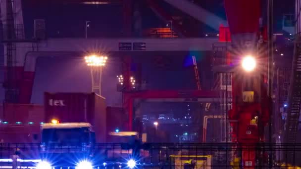Night Timelapse Crane Container Port Aomi Tokyo High Quality Footage — Video Stock